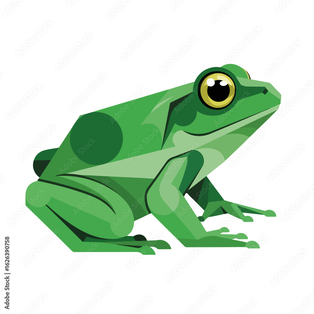 Obraz premium Isolated frog illustration of green frog, depicted with simple geometric shapes and bright colors. Frog illustration captures amphibian characteristics, ideal for educational material,
