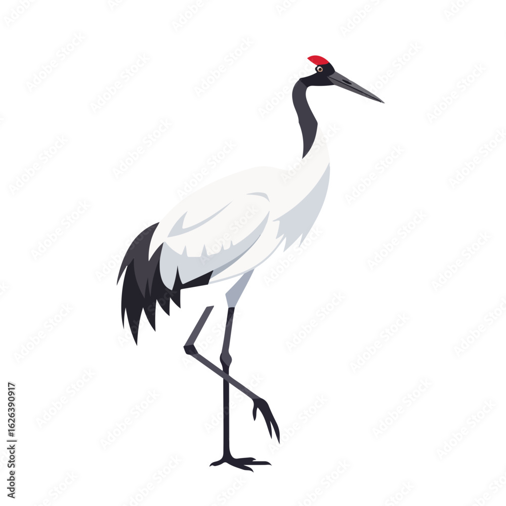 Obraz premium Standing red crowned crane with elegant plumage on white background, majestic bird in side view. Conservation effort focuses on this rare animal, also known as grus japonensis.