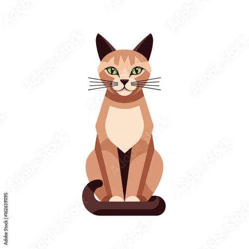 Singapura cat in full body sitting looking forward with green eyes and brown fur. Singapura cat sits in pose, cat with fluffy tail, whiskers and cute ears. Conceptual Singapura cat for pet shop ad.