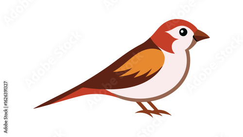 Sparrow bird in calm sitting pose ideal for everyday nature themes and common backyard birds Vector illustration.