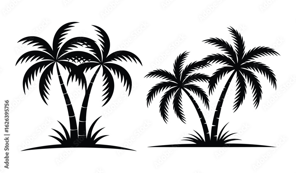 Fototapeta premium Downloadable Palm Tree Graphics: Perfect for Summer Designs 