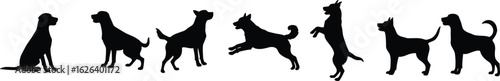 Set of Dog Silhouettes in Various Poses, Showing Different Actions like Sitting, Standing, and Jumping for a Dynamic Pet Illustration, Vector Illustration

.