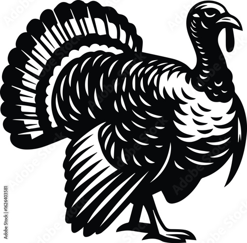 Simple Wild Turkey Design graphic vector