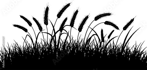 Vector art of black grass and seed heads isolated on white background