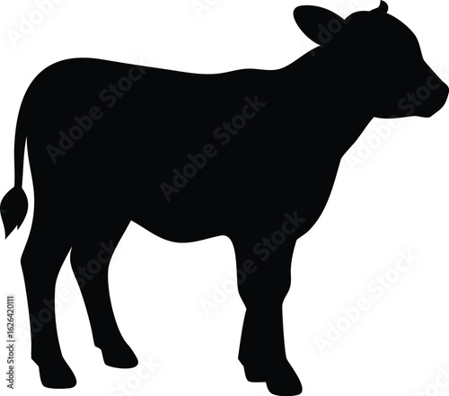 silhouette of a calf 