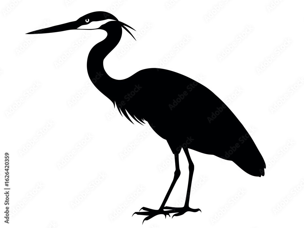 Fototapeta premium Heron silhouette vector illustration