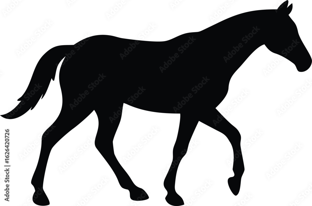 Obraz premium silhouette of a horse walking