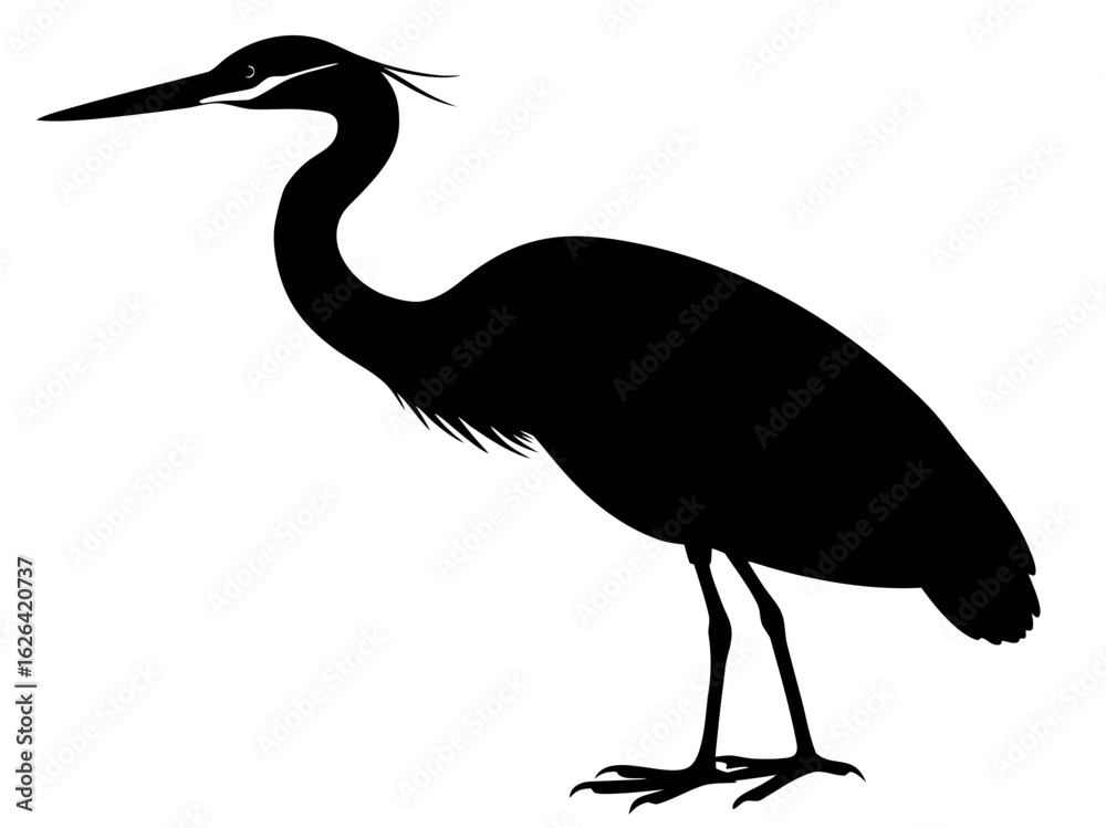 Fototapeta premium Heron silhouette vector illustration