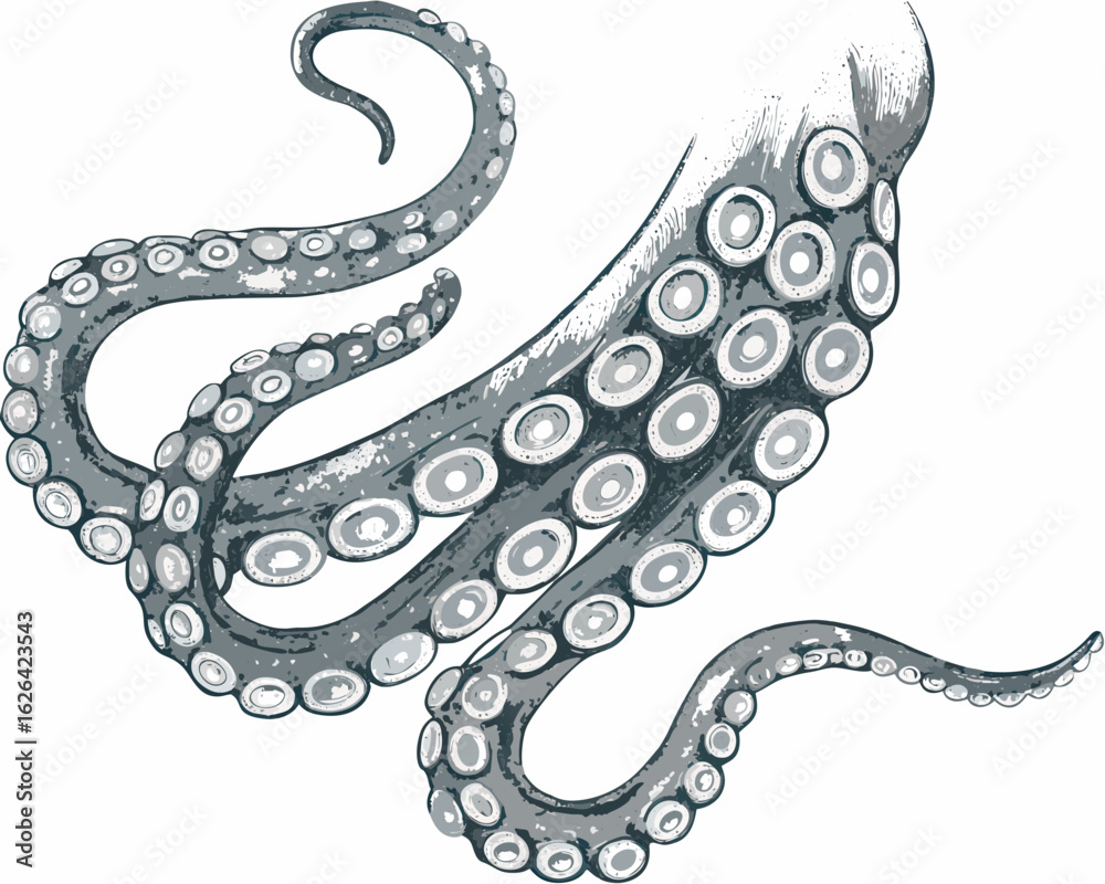 Obraz premium vector illustration of a dragon