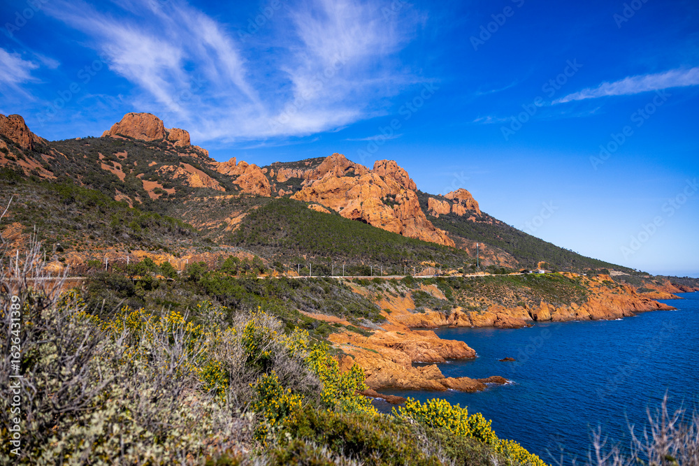 Naklejka premium france esterel