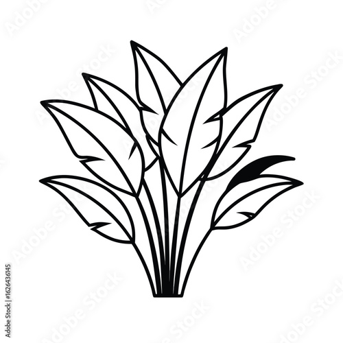 jungle plant line art