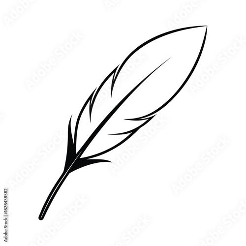 feather clipart line art