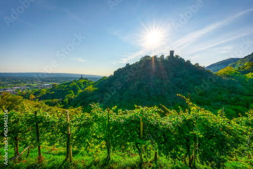 Prosecco Hills, vineyards, Credazzo towers, San Lorenzo church. Veneto, Italy