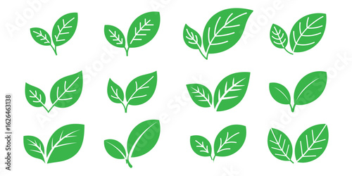 leaf icon set vector on white background. leaf, logotype, vector, icon, vegetarian, landscaping, green, eco, organic, garden, bio, tree, branch, symbol.
