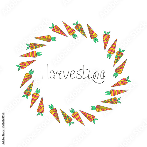 Carrot abstract, ornament. Round frame, border. Harvest festival, postcard. Bright vegetables, harvest. Drawings, doodles. Vegetarian food.