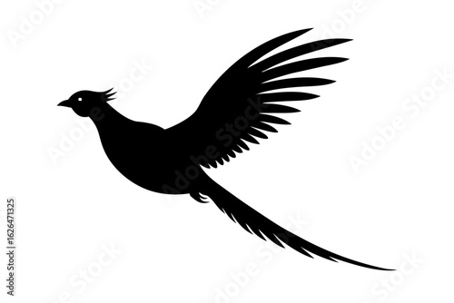 Flying pheasant bird wings tail wildlife avian animal silhouette vector illustration