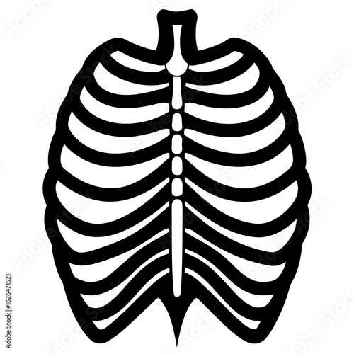 Anatomical ribcage bones human skeleton thorax body medical outline silhouette vector illustration