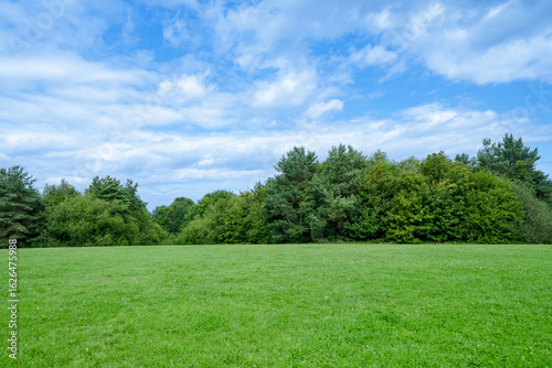 Sky blue,cloud over Green grass field lawn with forest tree and sunlight in summer. Serene Nature landscpe green meadows in spring park, Beautiful panoramic for background, web banner