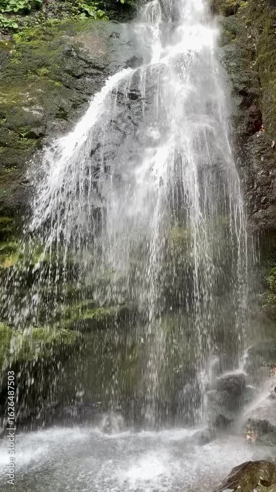 Slow motion of the forest waterfall Slow motion of the forest waterfall