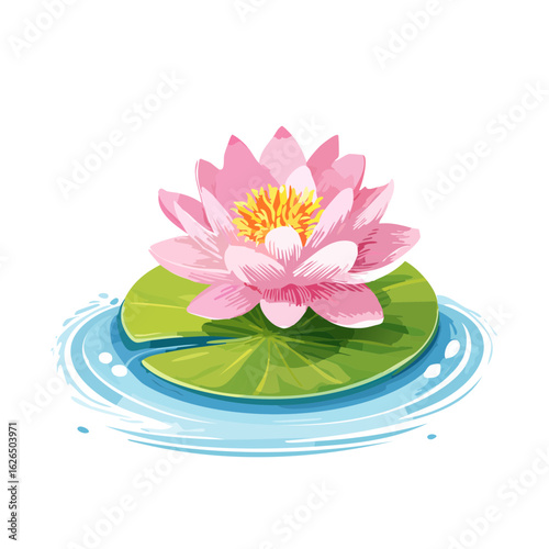 Pink Water Lily on Green Lily Pad Floating in Water