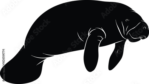 Manatee Silhouette Black and White Vector Illustration