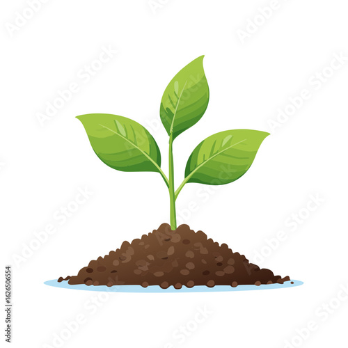 New plant seedling growing in soil, vector illustration. Seedling sprouting from the ground for garden or environmental project.