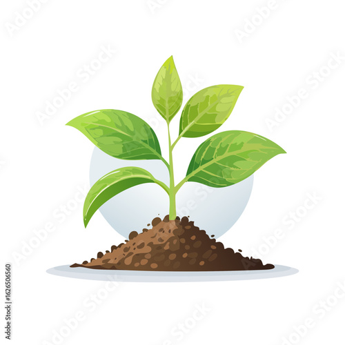 Young plant sprouts from soil, symbol of growth, ecology and new beginnings.