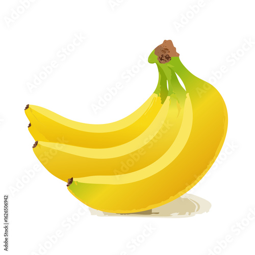 Fresh bananas bundle isolated on black backdrop. Tropical fruit bunch of yellow bananas. Food concept.