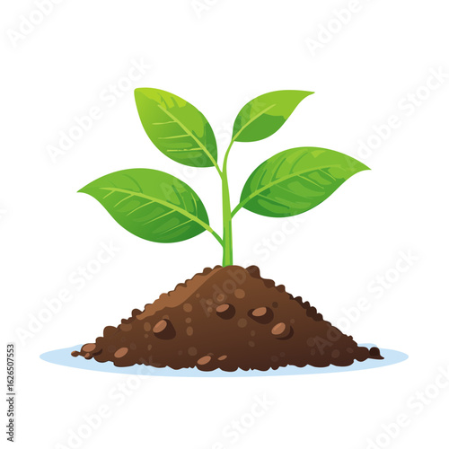 Green Sprout in Soil Illustration: New Life, Growth, Environment
