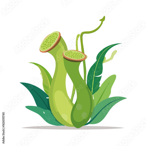Pitcher plant illustration. Tropical carnivorous plant and foliage. Exotic natural botanical design. Wildlife nature drawing background.