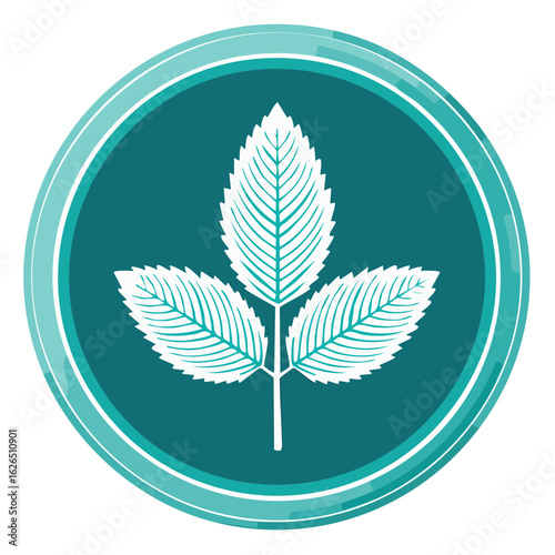Mint Leaf Icon in Teal Circle Design Herb Plant Sign Natural Logo Element Fresh Design Healthy Food Vector Botany Illustration Symbol