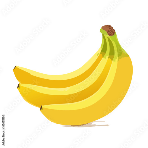 Bunch of Ripe Yellow Bananas Vector Illustration Healthy Fruit Nutrition