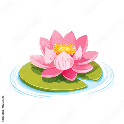 Pink lotus flower blossom floating on water lily pad, water ripple illustration art on black background