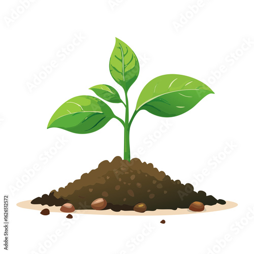 Seedling Plant Growing in Soil with Rocks Illustration on Black Background