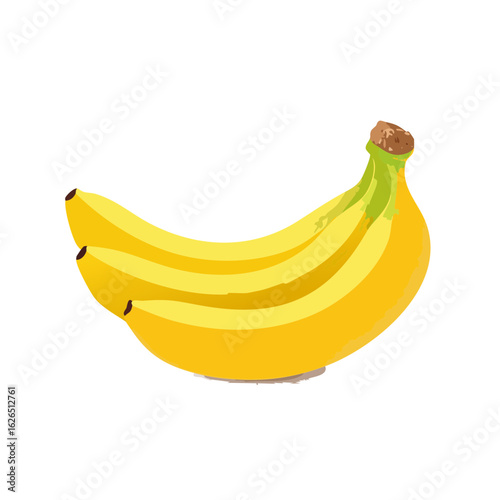 Three ripe yellow bananas on black background tropical fruit illustration