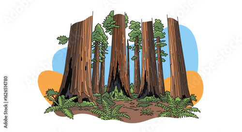 Tall redwood trees forest scene nature landscape
