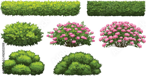 Cartoon hedge and flowering bushes collection, vibrant garden shrubs and green foliage design for landscape, backyard, park, or floral border