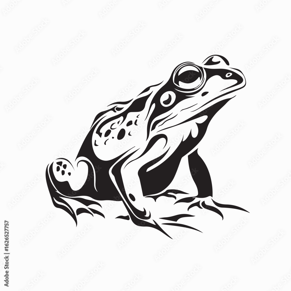 Naklejka premium African Bullfrog Vector Design Amphibian Animal Illustration on white background