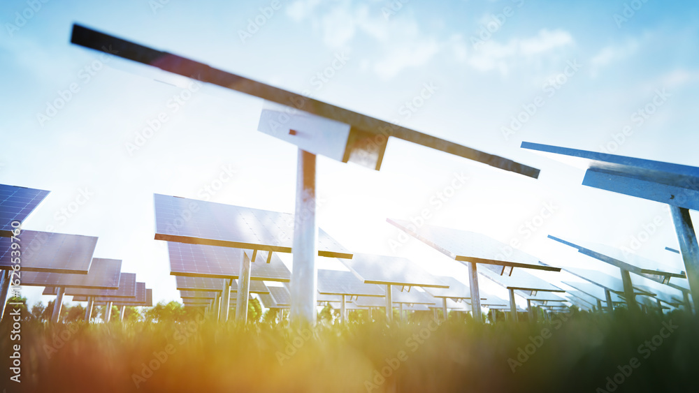 Fototapeta premium Solar panels are capturing sunlight in a field, generating clean energy. 3d render