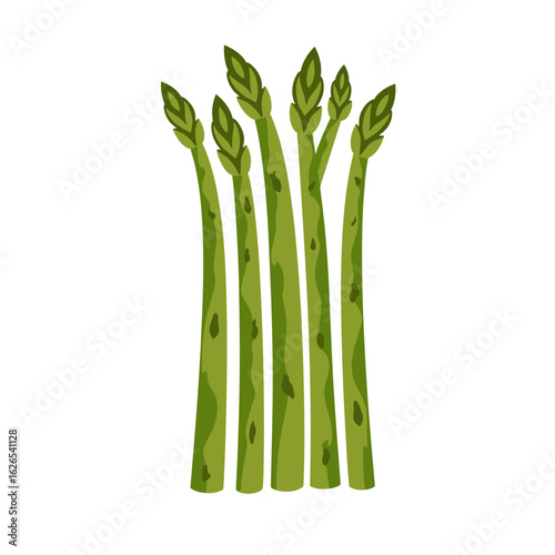 Fresh green asparagus stalks arranged in a bunch on white background  
