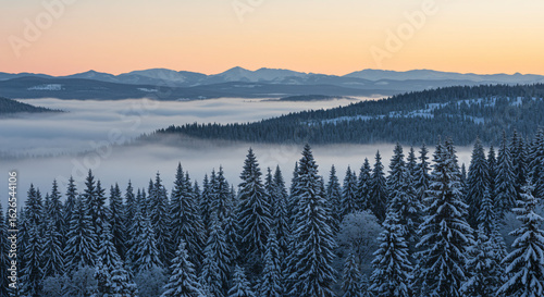 A serene winter landscape with snow-covered pine trees, rolling hills, and a misty valley at dawn. The soft pastel sky creates a peaceful and tranquil atmosphere.