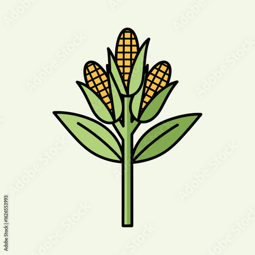 Three ripe corn cobs growing on a stalk with green leaves against a light background
