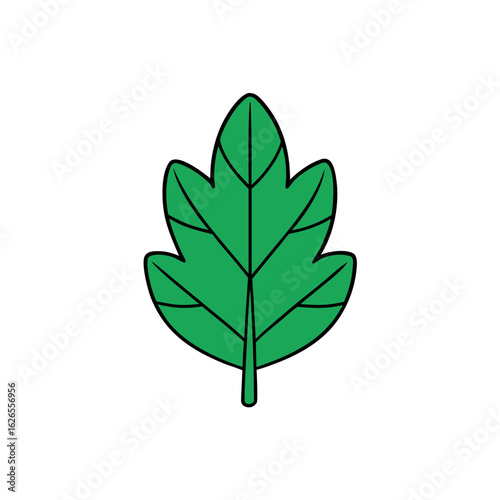 Vector art of green leaf isolated on white background