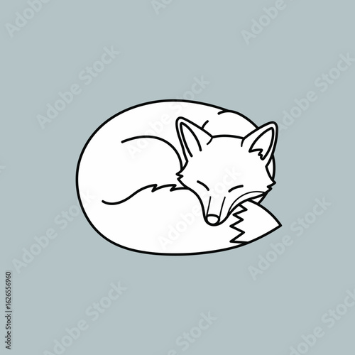 Sleeping Fox curled up in a circle on a muted blue background as a minimalist line art illustration