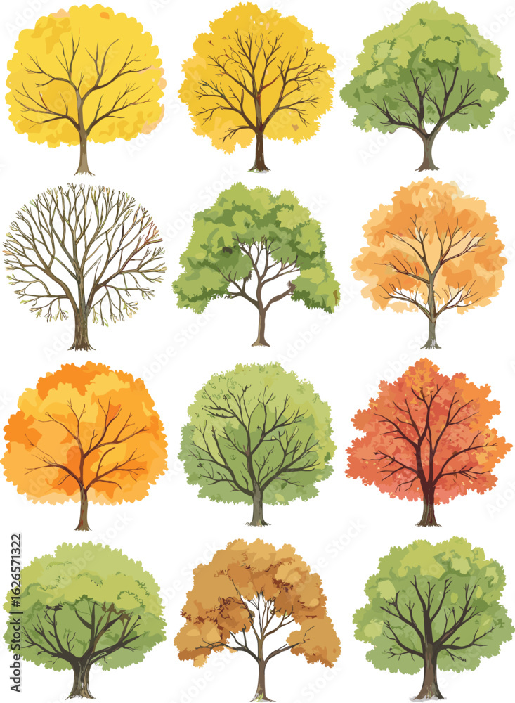 Obraz premium Seasonal deciduous tree collection, autumn and summer foliage set, hand-drawn natural vector, fall color tree illustration, landscape greenery elements pack