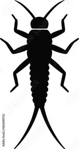 Silhouette Mayfly nymph insect black and white vector Illustrator