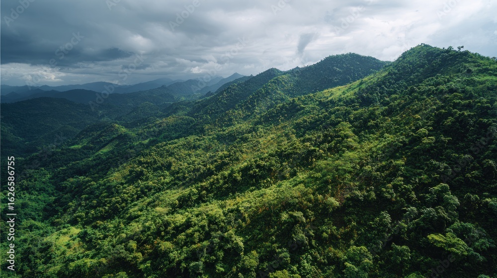 Fototapeta premium Green mountain forest landscape