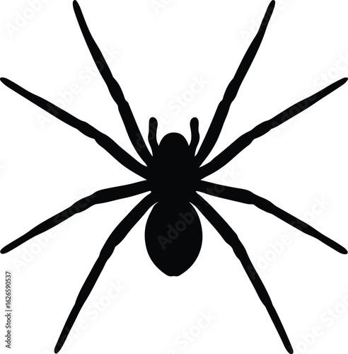 Silhouette spider arachnid creepy animal halloween danger vector Illustrator