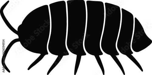 Silhouette woodlouse invertebrate simple minimalist insect vector Illustrator