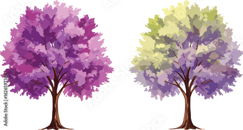 Beautiful vector illustration of two vibrant ornamental trees with purple and green foliage, perfect for seasonal designs, garden art, or nature decor